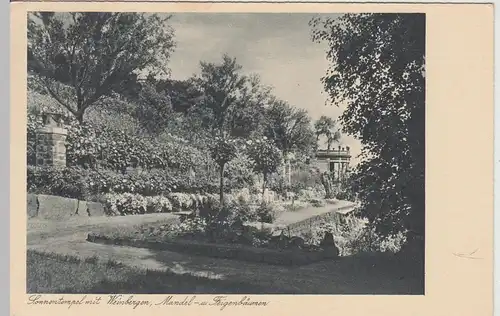 (111010) AK Bad Gleisweiler, Sonnentempel m. Weinbergen 1940er