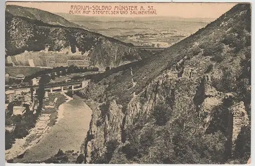 (106252) AK Bad Münster am Stein, Blick auf Stegfelsen u. Salinenthal, 1910