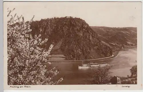 (100358) AK Frühling am Rhein, Loreley, Sankt Goarshausen, Raddampfer 1928
