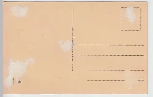 (105235) AK Potsdam, Bayrisches Haus im Wildpark, vor 1945