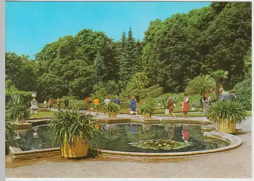 (101863) AK Potsdam Sanssouci, Sizilianischer Garten 1974