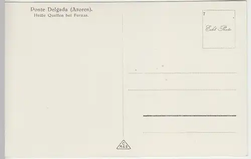 (25361) Foto AK Sao Miguel, Ponta Delgada, Azoren, heiße Quellen Furnas