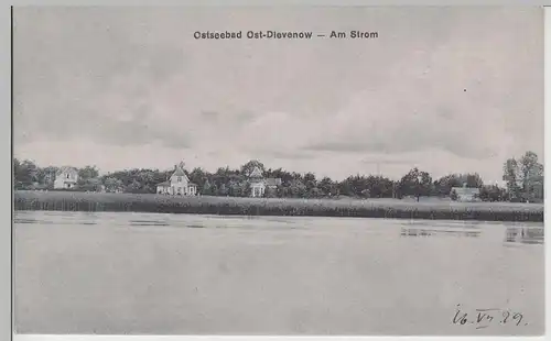(79594) AK Ostseebad Ost-Dievenow, Dziwnów, Am Strom, 1929