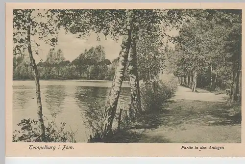 (100975) AK Tempelburg, Pommern, Czaplinek, in den Anlagen, aus Leporello, vor 1