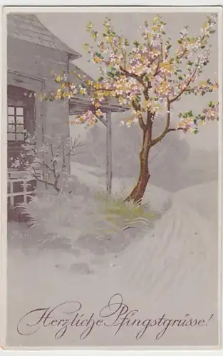 (29577) AK Herzliche Pfingstgrüße 1910er