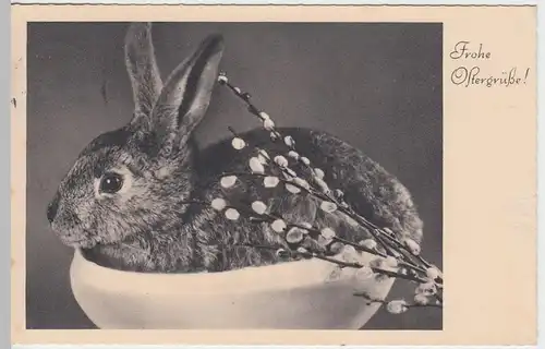 (51905) AK Frohe Ostergrüße, Osterhase in einer Schale, 1938