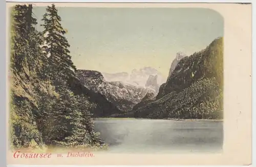 (25955) AK Gosausee, Dachstein, bis um 1905, Werbung f. Selbmanns Cacao