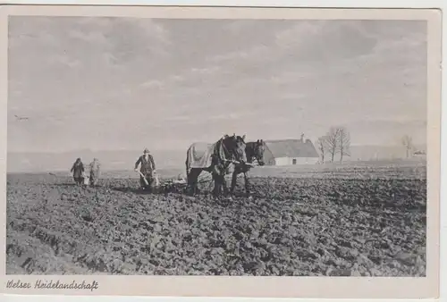 (115350) AK Welser Heide, Bauern pflügen 1910/20er