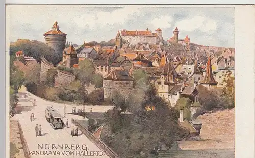 (97158) Künstler AK O. Wiegk: Nürnberg, Panorama vom Hallertor, vor 1945