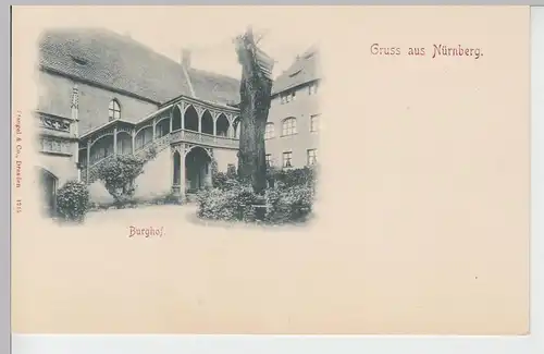 (91264) AK Gruß aus Nürnberg, Burghof, bis 1905