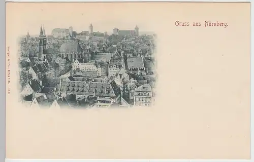 (91259) AK Gruß aus Nürnberg, Stadt mit Burg, bis 1905