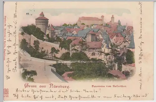 (91258) AK Gruß aus Nürnberg, Panorama vom Hallertor 1900