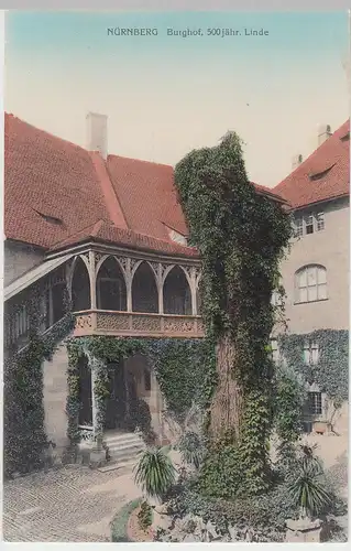 (87357) AK Nürnberg, Burghof m. 500-jähriger Linde, um 1910