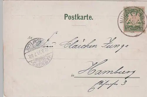 (78578) Künstler AK Nürnberg, Burg, Tiergärtnertor 1898