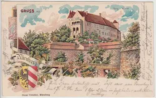 (114770) AK Gruss aus Nürnberg, Burg von Westen, Litho 1899