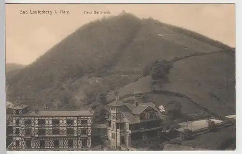 (96944) AK Bad Lauterberg im Harz, Haus Bartelsruh, vor 1945