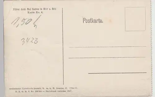 (96938) AK Bad Sachsa, Hotel Warteberg mit Ravensberg, 1907