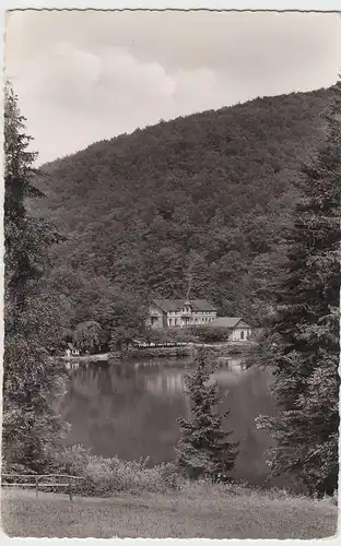 (95998) Foto AK Bad Lauterberg, Harz, Wiesenbeker Teich 1957