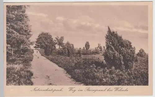 (95395) AK Wilsede, Weg im Steingrund, 1927