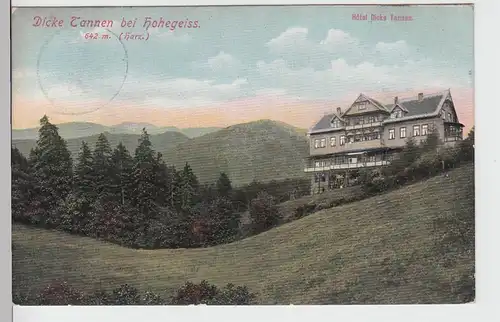 (95385) AK Hohegeiß, Hotel Dicke Tannen, 1912
