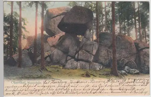 (95382) AK Okertal, Mausefalle, 1906
