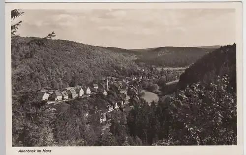 (95380) Foto AK Altenbrak im Harz, Totale, 1936