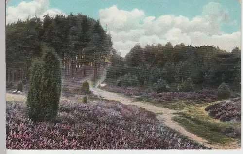 (95367) AK Lüneburger Heide, Weg am Wilseder Berg, vor 1945