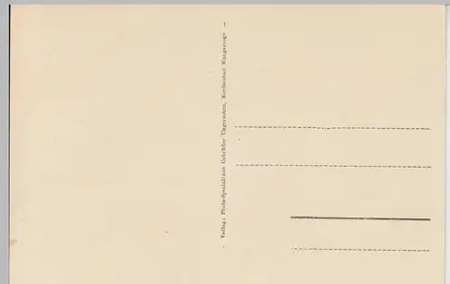 (93521) AK Wangerooge, Dünengelände, vor 1945