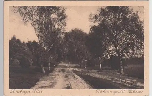 (92862) AK Lüneburger Heide, Birkenweg bei Wilsede, vor 1945