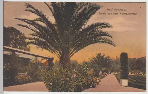 (91496) AK Bad Pyrmont, Palmengarten, Bahnpost 1924