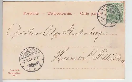 (91494) AK Bad Pyrmont, Kurpark, Erdbeertempel 1904