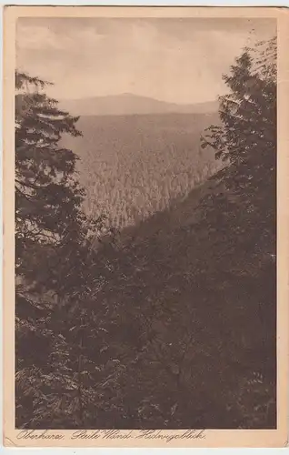 (90901) AK Oberharz, Steile Wand, Hedwigsblick 1928