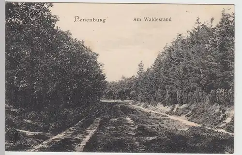 (84705) AK Neuenburg (Friesland), Am Waldesrand, um 1912