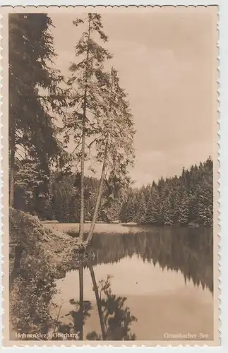 (83921) Foto AK Hahnenklee, Oberharz, Grumbacher See