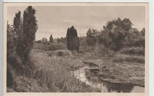 (81903) AK Lüneburger Heide, Am Weselbach, vor 1945
