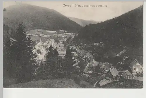 (81790) AK Zorge im Harz, Blick vom Bornberge, 1914