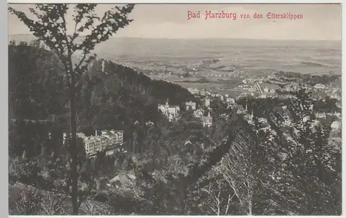 (81720) AK Bad Harzburg, Blick von den Ettersklippen, vor 1920