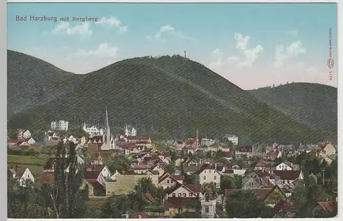(81719) AK Bad Harzburg, Ansicht mit Burgberg, vor 1920