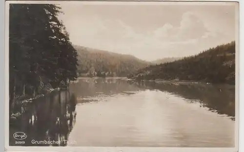 (79392) Foto AK Grumbacher Teich, Harz, vor 1945