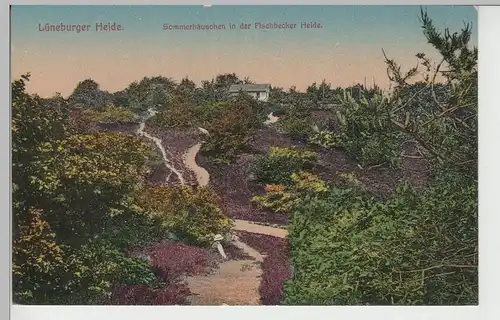 (79019) AK Lüneburger Heide, Sommerhäuschen i.d. Fischbecker Heide