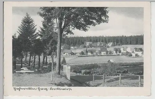 (78992) AK Hahnenklee im Harz, Bockswiese, vor 1945