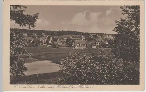 (78993) AK Hahnenklee, Blick vom Kranicherteich, vor 1945