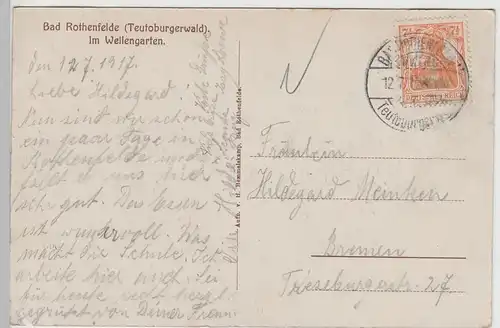 (78705) AK Bad Rothenfelde, Im Wellengarten 1917