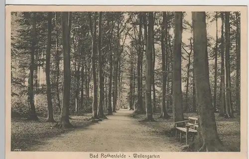 (78704) AK Bad Rothenfelde, Wellengarten, 1918