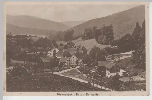 (78241) AK Riefensbeek im Harz, Dorfpartie, 1913