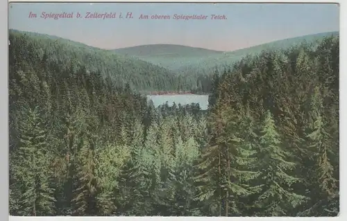 (78161) AK Im Spiegeltal bei Zellerfeld im Harz, Am oberen Teich, 1919