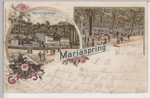 (76748) AK Gruss vom Mariaspring, Plesse, Anlagen, Litho 1897