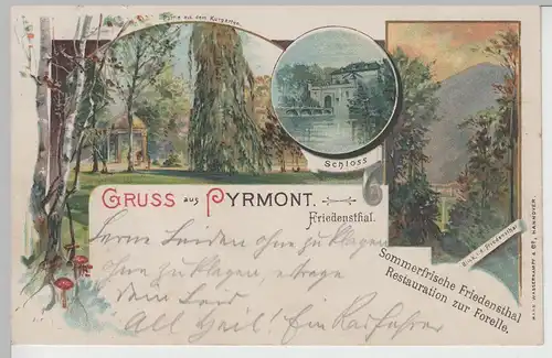 (76643) AK Gruss aus Pyrmont Friedensthal, Mehrbild Litho, Bahnpost 1898