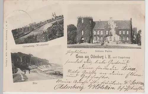 (76591) AK Gruss aus Oldenburg u. Umgebung, Eitz, Schloss Farve 1901