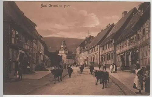 (76222) AK Bad Grund, Harz, Rinderherde in der Stadt 1910